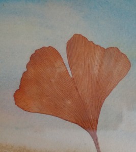 Gingko biloba